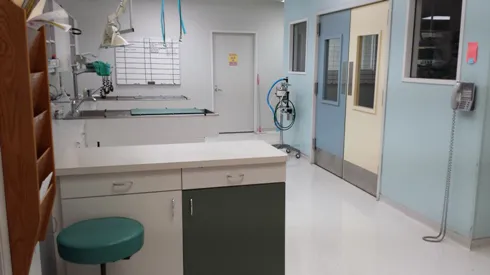 Copperfield Animal Clinic 12
