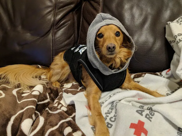 Longenbaugh Veterinary Hospital 12