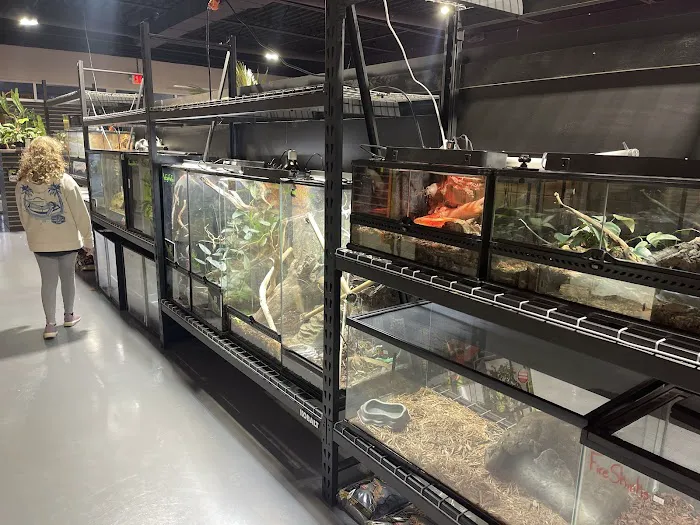 Frog Family Reptile Shop 1