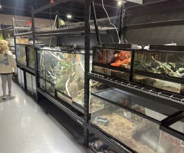 Frog Family Reptile Shop