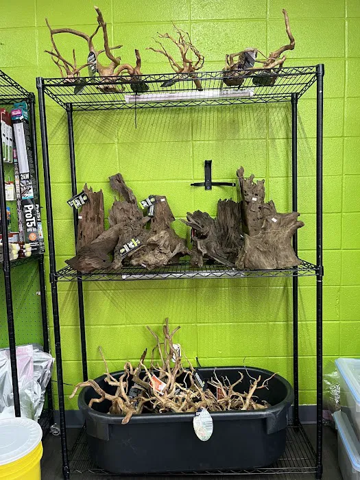 Frog Family Reptile Shop 8