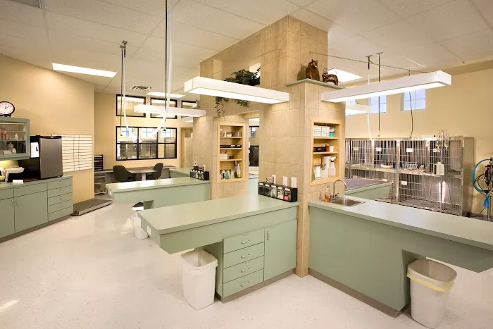 Crossroads Animal Clinic 12