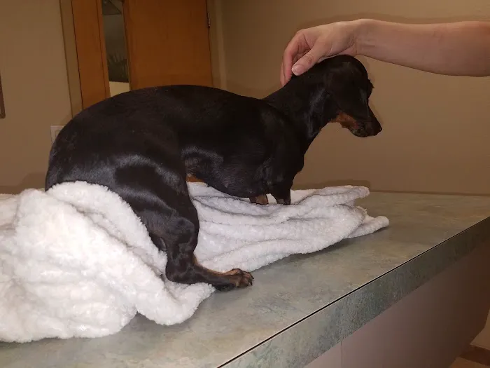 Crossroads Animal Clinic 12