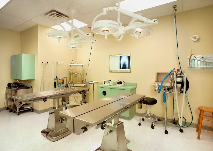 Crossroads Animal Clinic 12