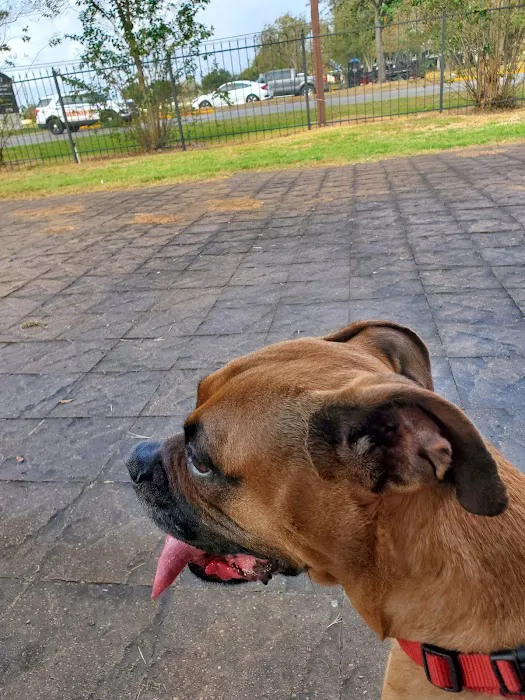 Clay Road Animal Clinic 12