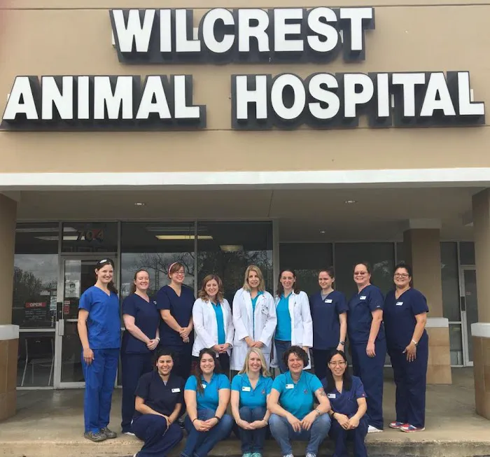 Wilcrest Animal Hospital 12