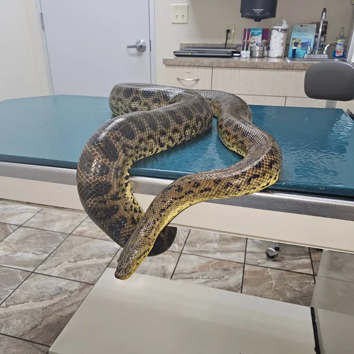 Briarcrest Veterinary Clinic 8