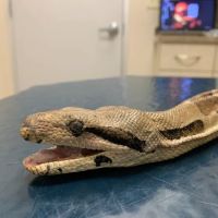 Briarcrest Veterinary Clinic ico