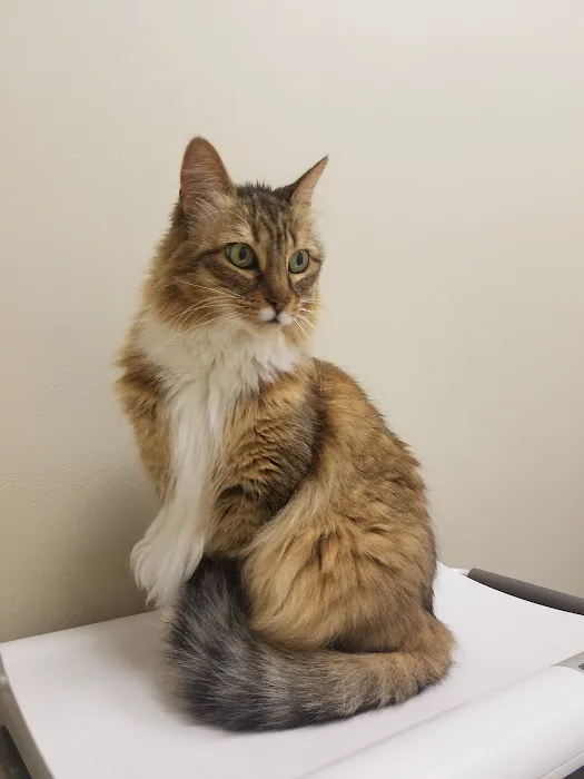 Briarcrest Veterinary Clinic 6