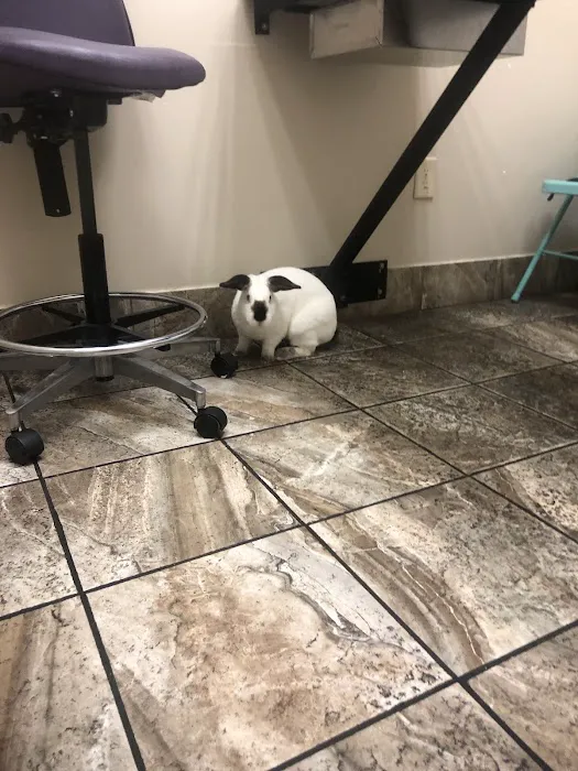 Briarcrest Veterinary Clinic 4