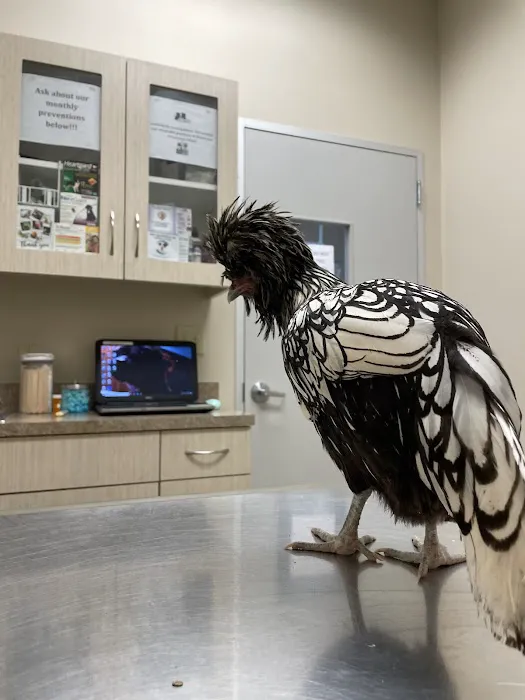 Briarcrest Veterinary Clinic 10