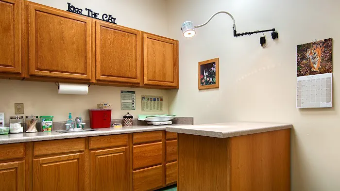 Houston Cat Hospital 12