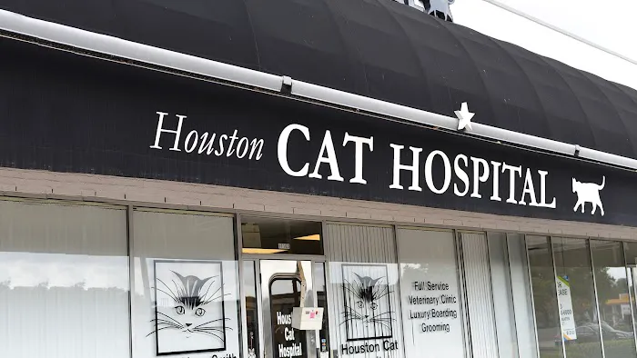 Houston Cat Hospital 12