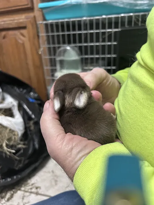 B&S Rabbitry 12