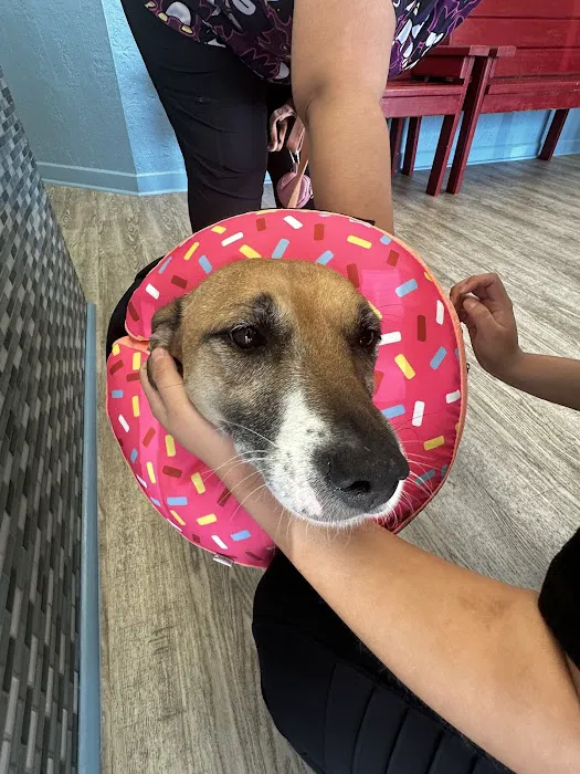PetWorks Express 12