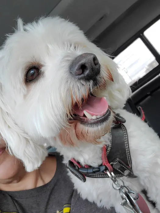 PetWorks Express 12