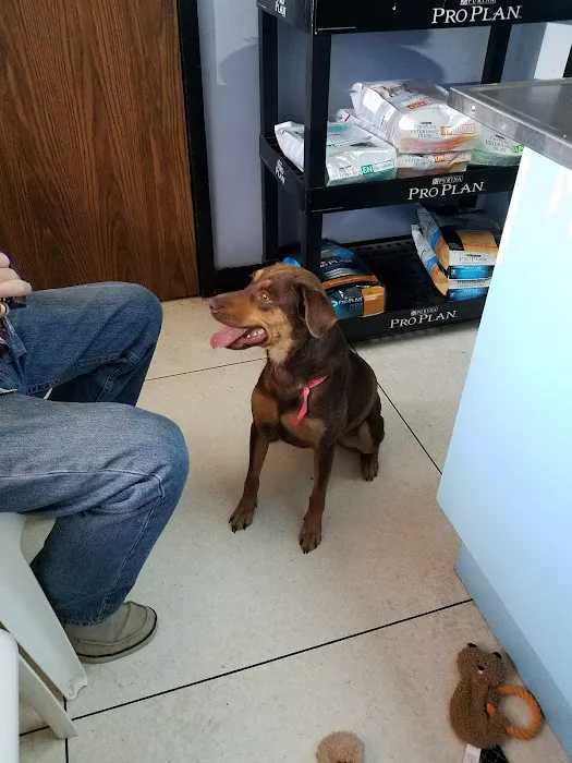 Stella Link Animal Clinic 12