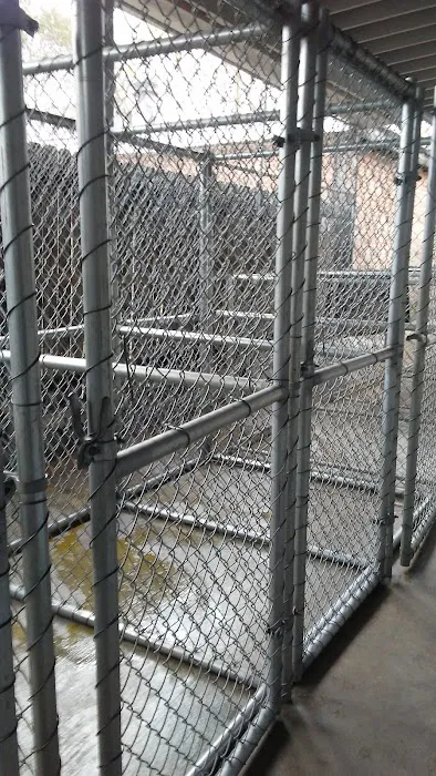 Stella Link Animal Clinic 12