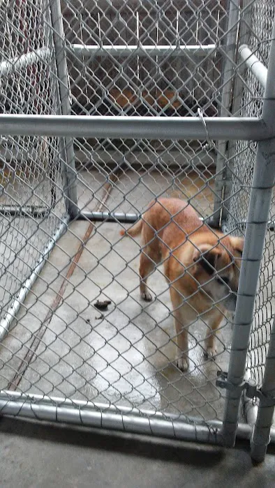 Stella Link Animal Clinic 12