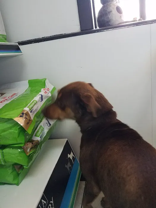 Stella Link Animal Clinic 12