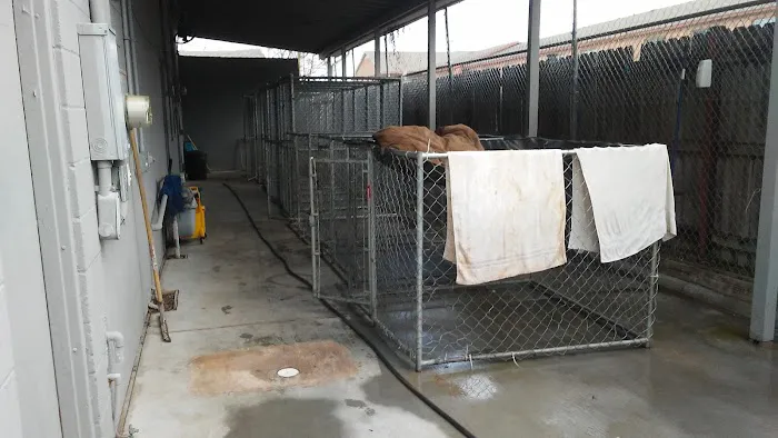 Stella Link Animal Clinic 12