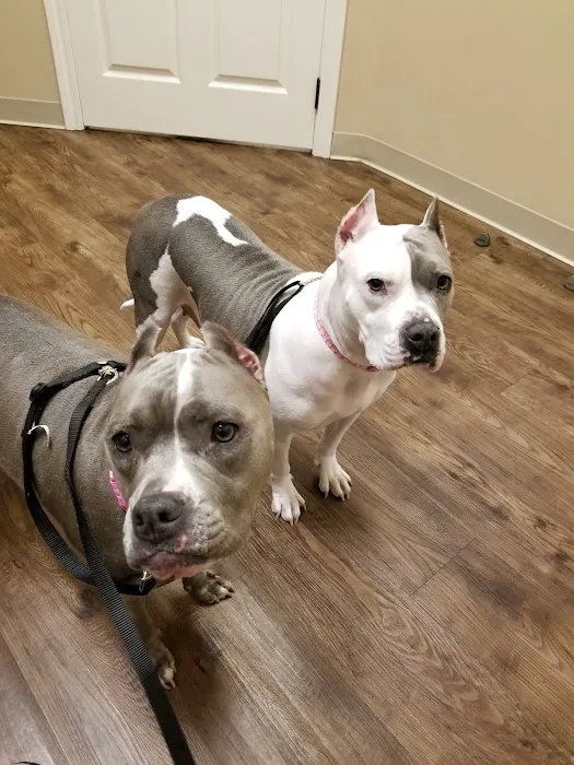 Shadow Creek Veterinary Clinic 12