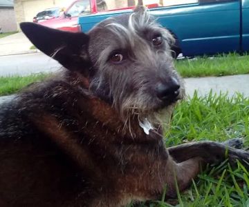 Shadow Creek Veterinary Clinic