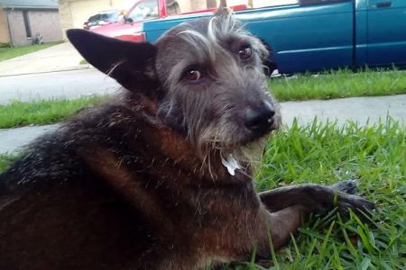 Shadow Creek Veterinary Clinic