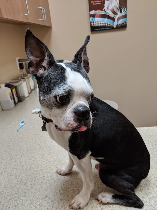 Shadow Creek Veterinary Clinic 12