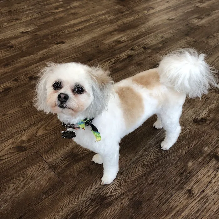 Shadow Creek Veterinary Clinic 12