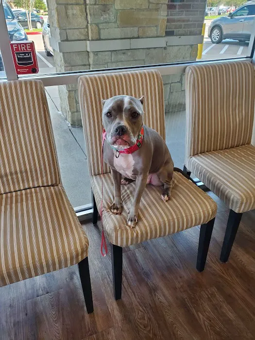 Shadow Creek Veterinary Clinic 12