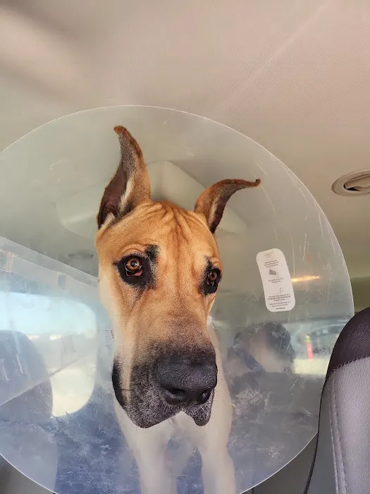 Pearland Pet Health Center 12