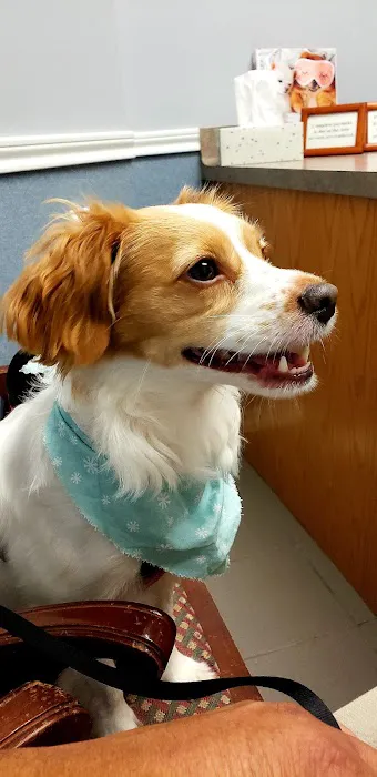 Pearland Pet Health Center 12