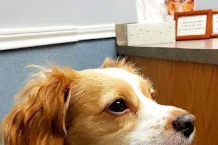 Pearland Pet Health Center