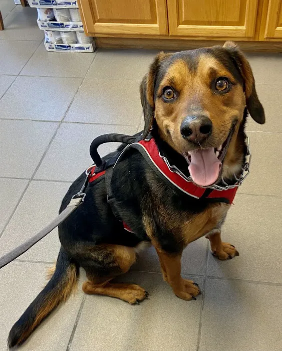 Pearland Pet Health Center 12