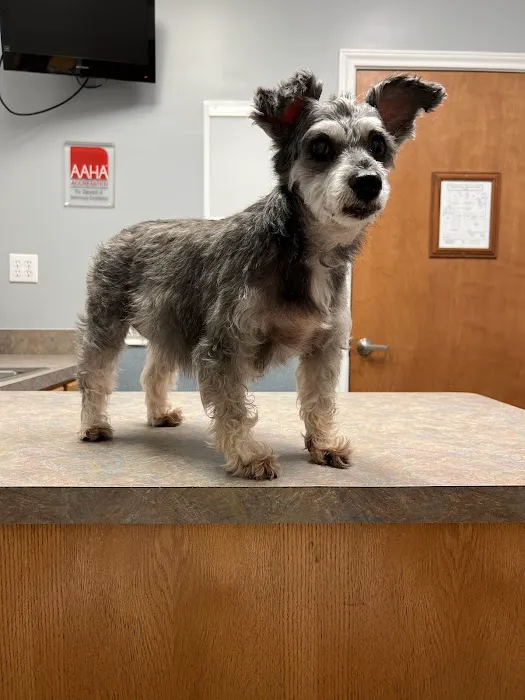 Pearland Pet Health Center 12