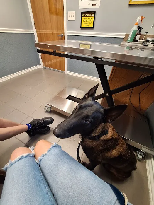 Pearland Pet Health Center 12