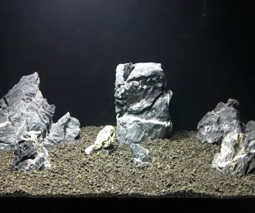 ADA Tank Supply