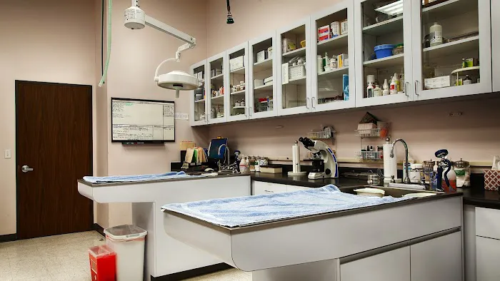 VCA Westside Animal Hospital 12