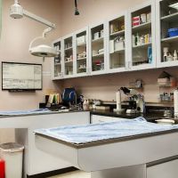 VCA Westside Animal Hospital ico