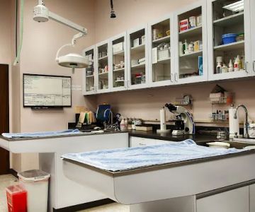 VCA Westside Animal Hospital
