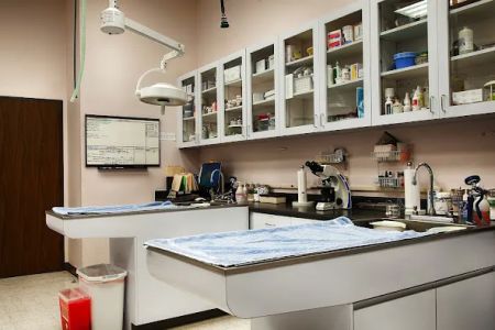 VCA Westside Animal Hospital