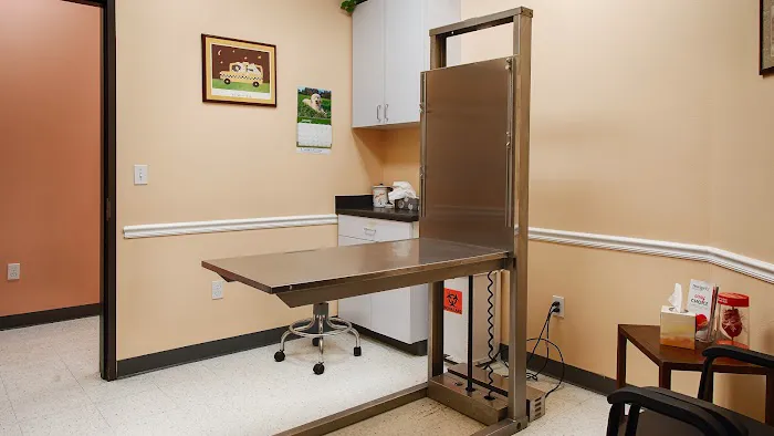 VCA Westside Animal Hospital 12