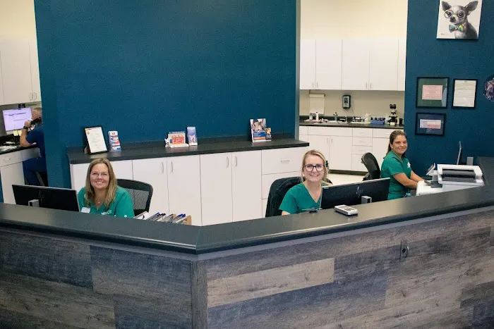 VCA Westside Animal Hospital 12