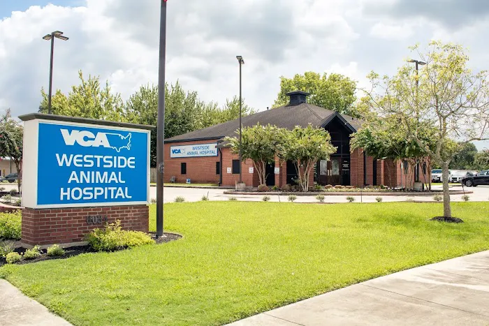 VCA Westside Animal Hospital 12