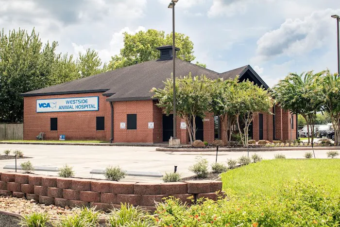 VCA Westside Animal Hospital 12
