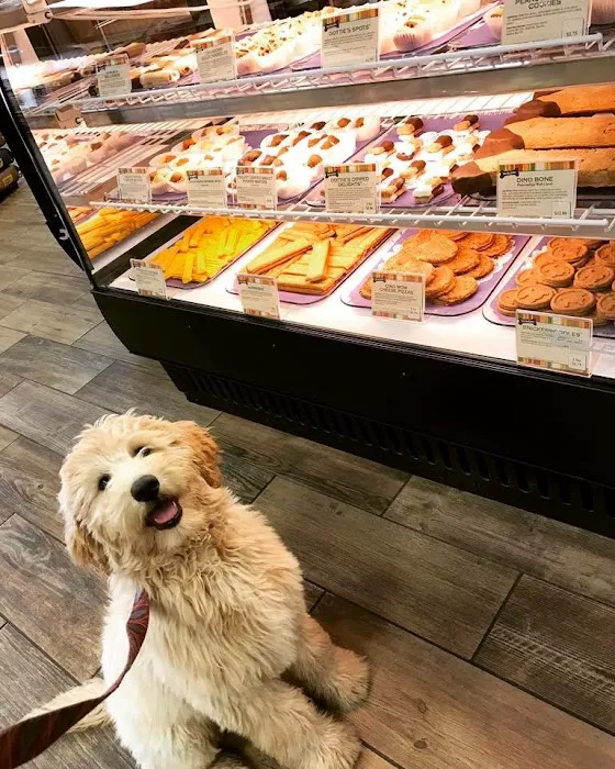 Drooly's Dog Bakery 12
