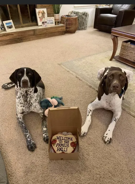 Drooly's Dog Bakery 12