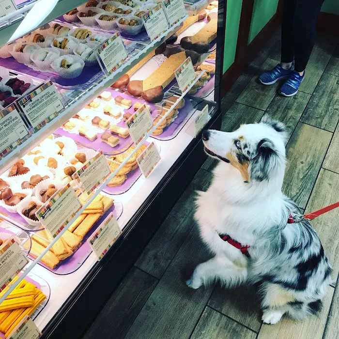 Drooly's Dog Bakery 12