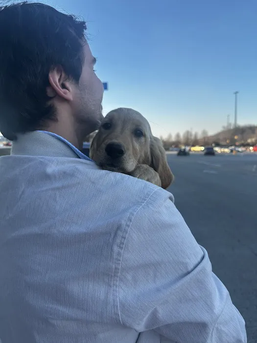 Citipups 12